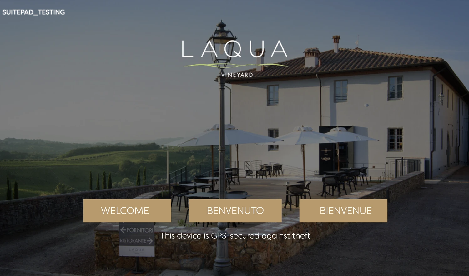Laqua Vineyard